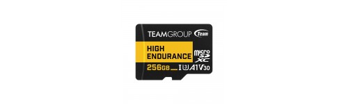 High Endurance Micro SDXC V30