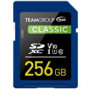 SD Classic 256Gb V10