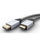 Câble adaptateur DisplayPort/HDMI™ haute vitesse