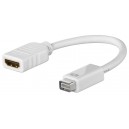 Adaptateur Mini DVI/HDMI™