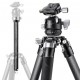 K&F Trepied Carbone X284C2 + Rotule BH-40