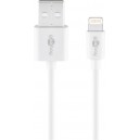 Câble de Charge et de Synchronisation Lightning USB
