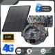 Piège Photo 4G 360° + panneau Solaire