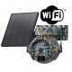 Piège Photo WIFI 360° + panneau Solaire