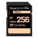 TEAM GROUP SDXC 256Gb UHS-I U3 V30 A2 