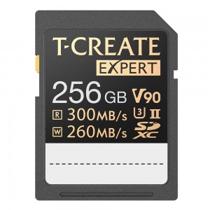 EXPERT SDXC UHS-II V90 256GB